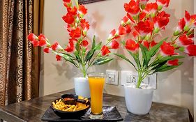 Hotel Lime Pride Near Igi Airport Delhi